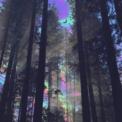 幻剑ol最新版