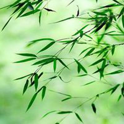 权力与荣耀腾讯版下载